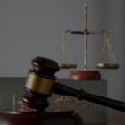 Dr. Jyoti C. Ramani Authors Case Law Update on Delhi High Court’s Syngenta Polymorph Patent Decision